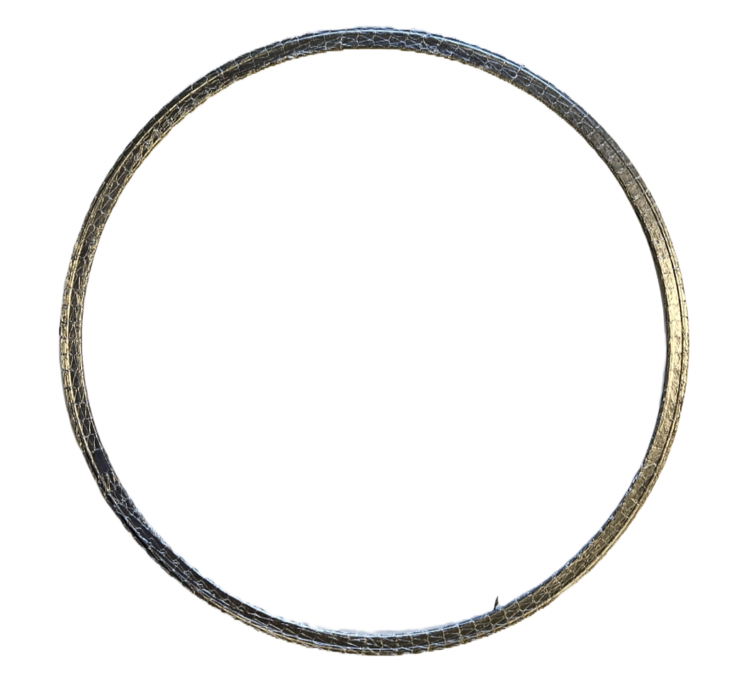 DPF Gasket Suits Cummins 2871452